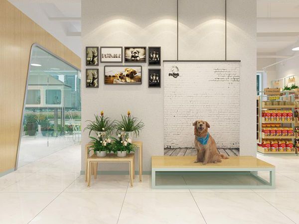 合肥寵物店裝修攻略，寵物店裝修應(yīng)該注意什么