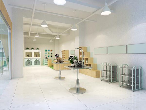 合肥寵物店裝修風(fēng)格有哪幾種應(yīng)該如何裝修怎么劃分功能區(qū)