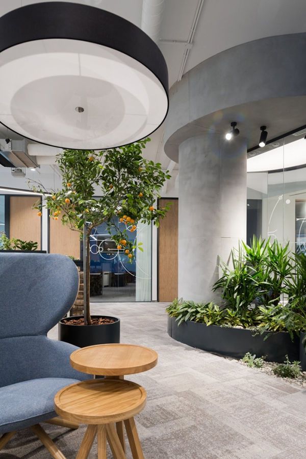 合肥時(shí)尚軟件公司辦公室裝修設(shè)計(jì)案例