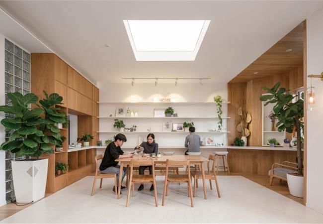 兩種新型環(huán)保吊頂材料